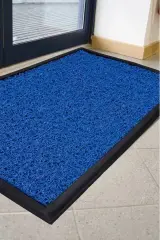 ANTİBAKTERİYEL 40*60 HİJYEN PASPAS KIRÇILLI