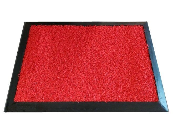 ANTİBAKTERİYEL 40*60 HİJYEN PASPAS KIRÇILLI