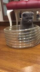 175 MM POLİÜRETAN HORTUM 0,40 MM - 10 MT